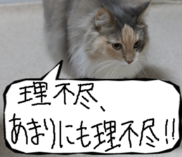 Instead tell the cat part11 sticker #14101129