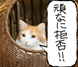 Instead tell the cat part11 sticker #14101131