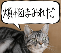 Instead tell the cat part11 sticker #14101132