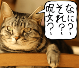 Instead tell the cat part11 sticker #14101133