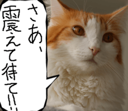 Instead tell the cat part11 sticker #14101139