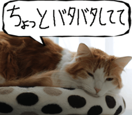 Instead tell the cat part11 sticker #14101147