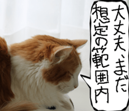 Instead tell the cat part11 sticker #14101150