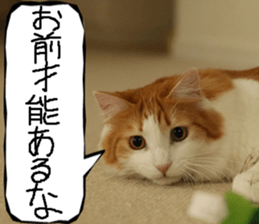 Instead tell the cat part11 sticker #14101162