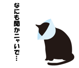 Cute Black Cat for cat lovers sticker #14101711