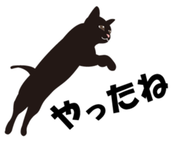 Cute Black Cat for cat lovers sticker #14101725
