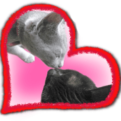 Cat of Roux.<I Love You>