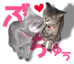 Cat of Roux.<I Love You> sticker #14101846