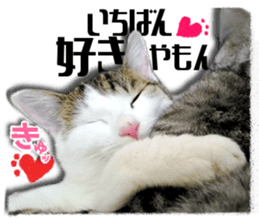 Cat of Roux.<I Love You> sticker #14101847
