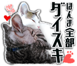 Cat of Roux.<I Love You> sticker #14101848