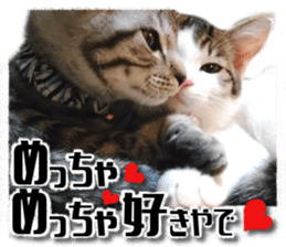 Cat of Roux.<I Love You> sticker #14101849