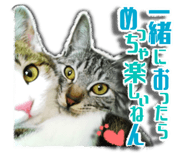 Cat of Roux.<I Love You> sticker #14101850