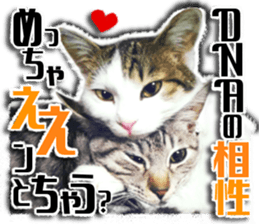 Cat of Roux.<I Love You> sticker #14101851