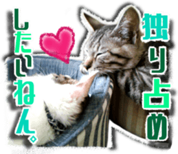 Cat of Roux.<I Love You> sticker #14101852