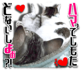 Cat of Roux.<I Love You> sticker #14101853