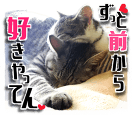 Cat of Roux.<I Love You> sticker #14101854