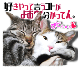 Cat of Roux.<I Love You> sticker #14101855