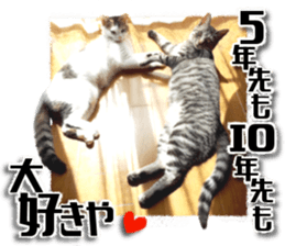 Cat of Roux.<I Love You> sticker #14101856