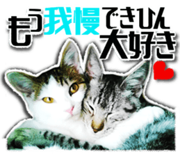 Cat of Roux.<I Love You> sticker #14101857