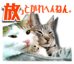 Cat of Roux.<I Love You> sticker #14101859