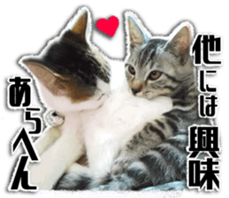 Cat of Roux.<I Love You> sticker #14101860