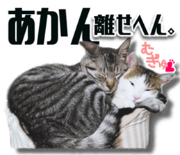 Cat of Roux.<I Love You> sticker #14101863