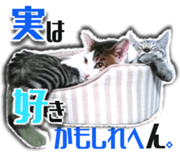 Cat of Roux.<I Love You> sticker #14101865