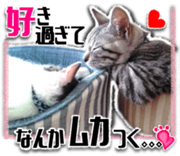 Cat of Roux.<I Love You> sticker #14101866