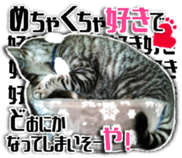 Cat of Roux.<I Love You> sticker #14101867
