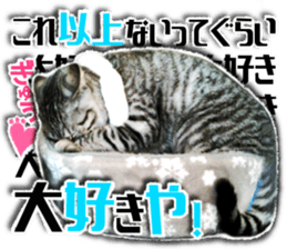 Cat of Roux.<I Love You> sticker #14101868