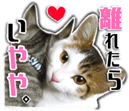 Cat of Roux.<I Love You> sticker #14101870
