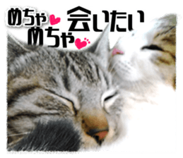 Cat of Roux.<I Love You> sticker #14101871