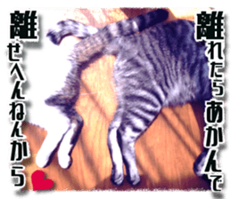 Cat of Roux.<I Love You> sticker #14101872