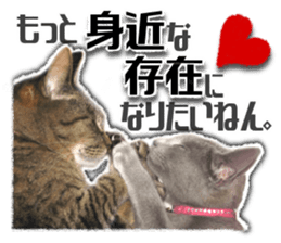 Cat of Roux.<I Love You> sticker #14101873