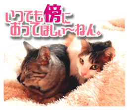 Cat of Roux.<I Love You> sticker #14101874