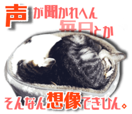 Cat of Roux.<I Love You> sticker #14101876