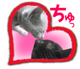 Cat of Roux.<I Love You> sticker #14101877