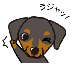 iinu - German Pincher sticker #14102247