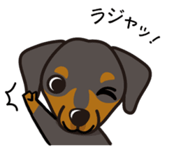 iinu - German Pincher sticker #14102247