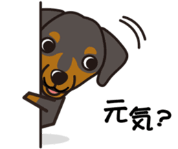 iinu - German Pincher sticker #14102258