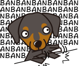 iinu - German Pincher sticker #14102260