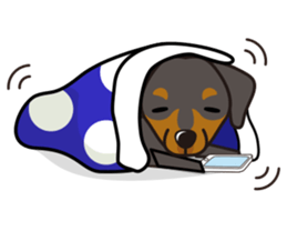 iinu - German Pincher sticker #14102261