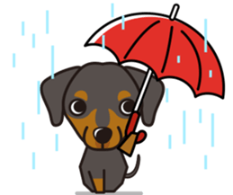 iinu - German Pincher sticker #14102263