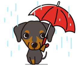 iinu - German Pincher sticker #14102263