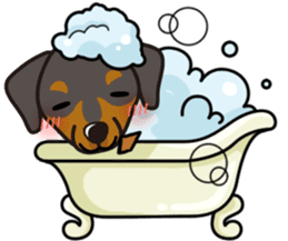 iinu - German Pincher sticker #14102264