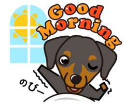 iinu - German Pincher sticker #14102265