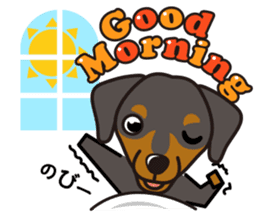 iinu - German Pincher sticker #14102265