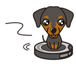 iinu - German Pincher sticker #14102268