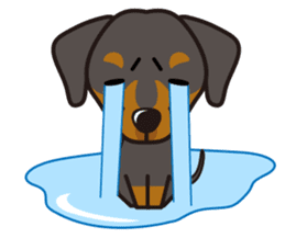 iinu - German Pincher sticker #14102277