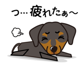 iinu - German Pincher sticker #14102284